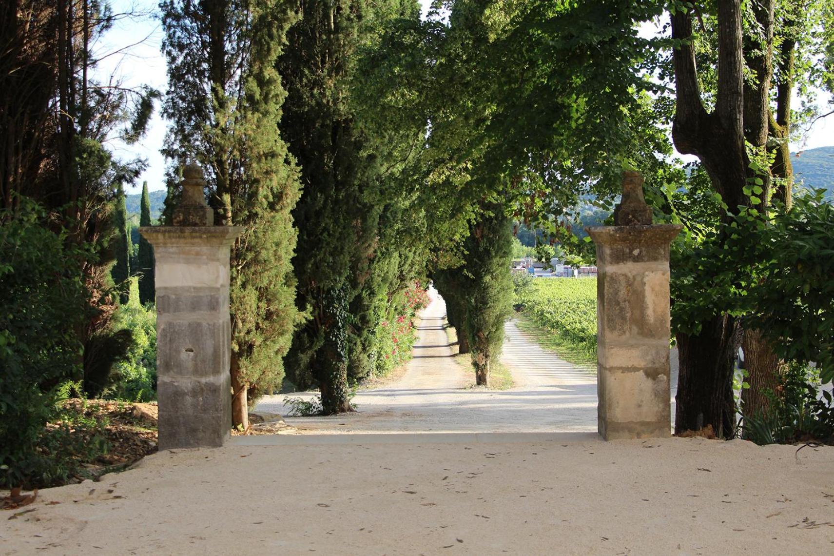 Chateau De L'Olivete Cornillon Exterior foto